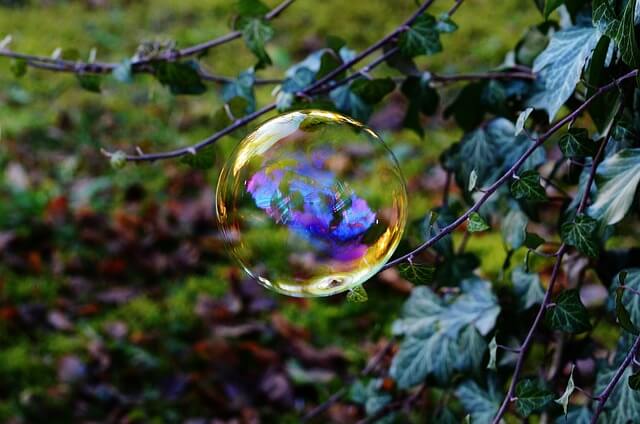 mydlana bańka balansuje na roślinie